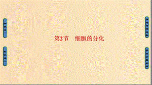 2018版高中生物 第六章 細胞的生命歷程 第2節(jié) 細胞的分化課件 新人教版必修1.ppt