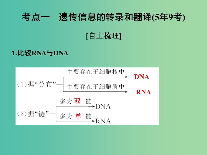高考生物一轮复习 第六单元 遗传的分子基础 第19讲 基因控制蛋白质的合成及与性状的关系课件.ppt_第2页