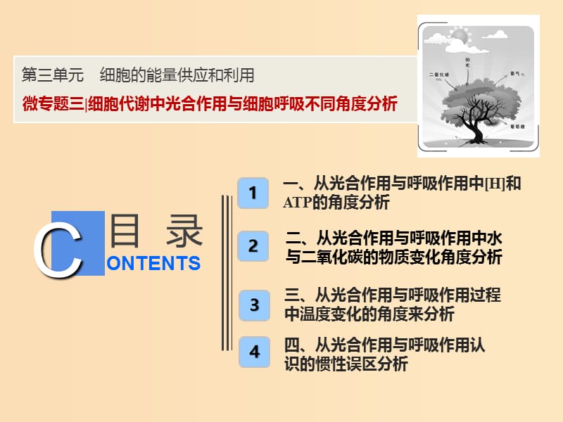 2019版高考生物一轮复习 第三单元 细胞的能量供应和利用 微专题三 细胞代谢中光合作用与细胞呼吸不同角度分析课件 新人教版.ppt_第1页