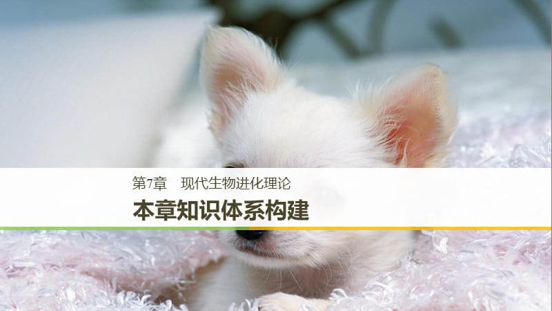 2018-2019学年高中生物第7章现代生物进化理论本章知识体系构建课件新人教版必修2 .ppt_第1页