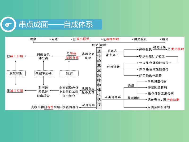 2019高考生物二轮复习 专题三 遗传 第2讲 遗传规律、伴性遗传 第Ⅰ课时 基础自查——学生为主体 抓牢主干以不变应万变课件.ppt_第3页