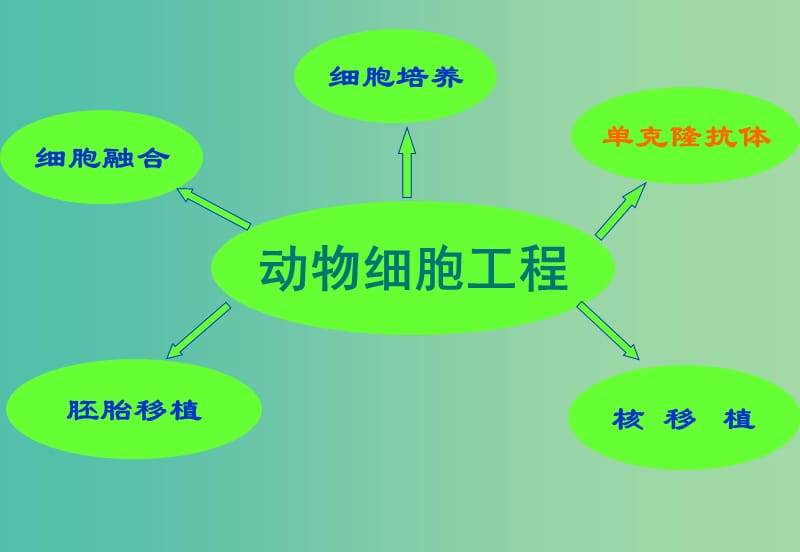 内蒙古乌兰察布市高考生物总复习 专题 动物细胞工程课件.ppt_第2页