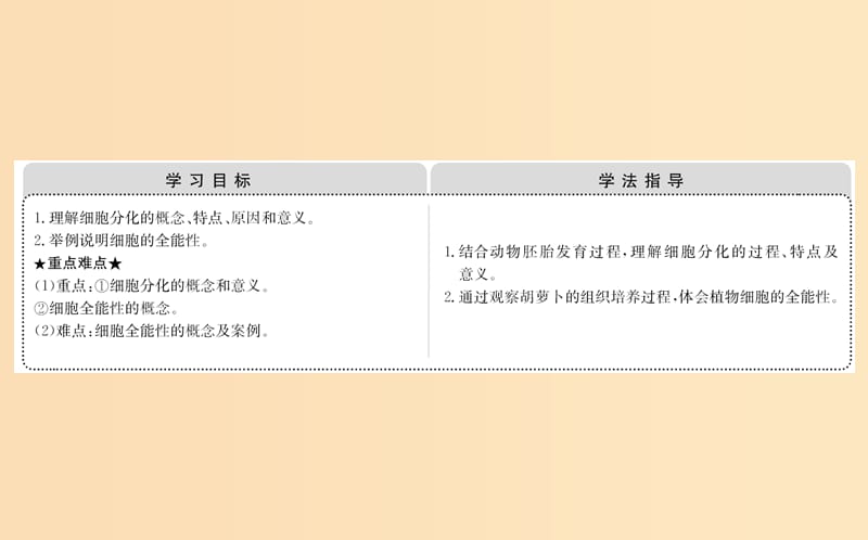 2018-2019学年高中生物 第六章 细胞的生命历程 第二节 细胞的分化课件 新人教版必修1.ppt_第2页