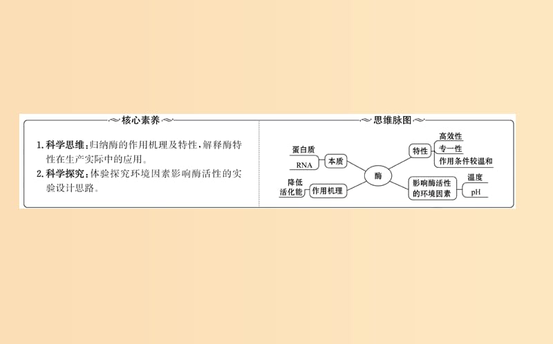 2018-2019学年高中生物 第五章 细胞的能量供应和利用 第一节 降低化学反应活化能的酶 5.1课件 新人教版必修1.ppt_第2页