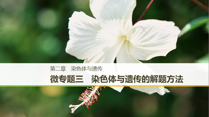 2018-2019學(xué)年高中生物 第二章 染色體與遺傳 微專題三 染色體與遺傳的解題方法課件 浙科版必修2.ppt_第1頁