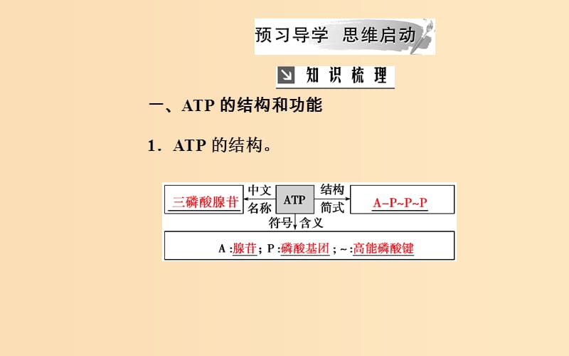 2018秋高中生物 第五章 细胞的能量供应和利用 第2节 细胞的能量“通货”——ATP课件 新人教版必修1.ppt_第3页