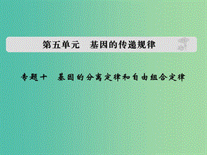 高考生物 第五單元 專題十 基因的分離定律和自由組合定律課件.ppt