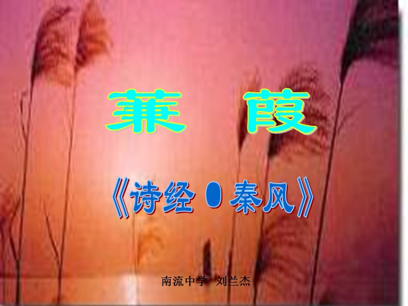 《级语文蒹葭》PPT课件.ppt_第1页