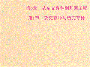 2018年秋高中生物 第六章 從雜交育種到基因工程 第1節(jié) 雜交育種與誘變育種課件 新人教版必修2.ppt