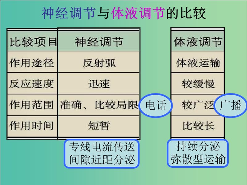 江西省南昌县高中生物 第二章 动物和人体生命活动的调节 2.3 神经调节与体液调节的关系课件 新人教版必修3.ppt_第3页