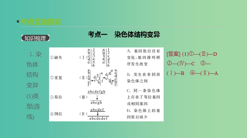 2019届高考生物一轮复习 第7单元 变异、育种与进化 第21讲 染色体变异与生物育种课件.ppt_第3页