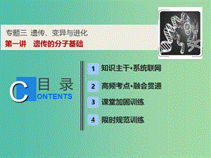 2019高考生物二輪復(fù)習(xí) 專題三 遺傳、變異與進(jìn)化 第一講 遺傳的分子基礎(chǔ)課件.ppt