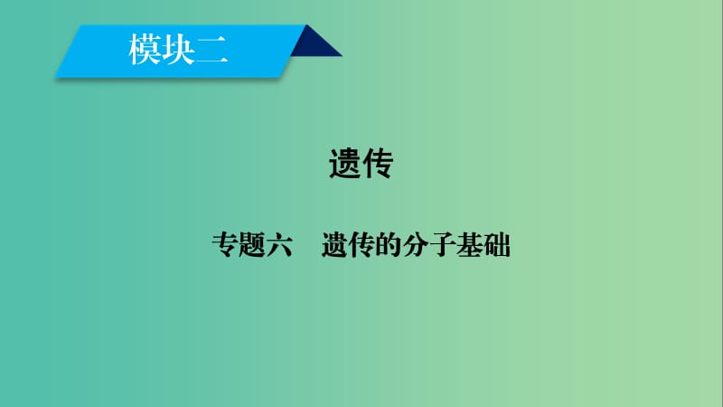 2019高考生物大二轮复习 专题六 遗传的分子基础课件.ppt_第1页