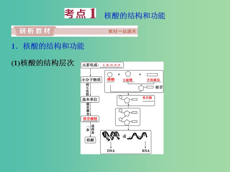 2019届高考生物一轮复习第一单元细胞的分子组成第4讲遗传信息的携带者--核酸细胞中的糖类和脂质课件.ppt_第3页