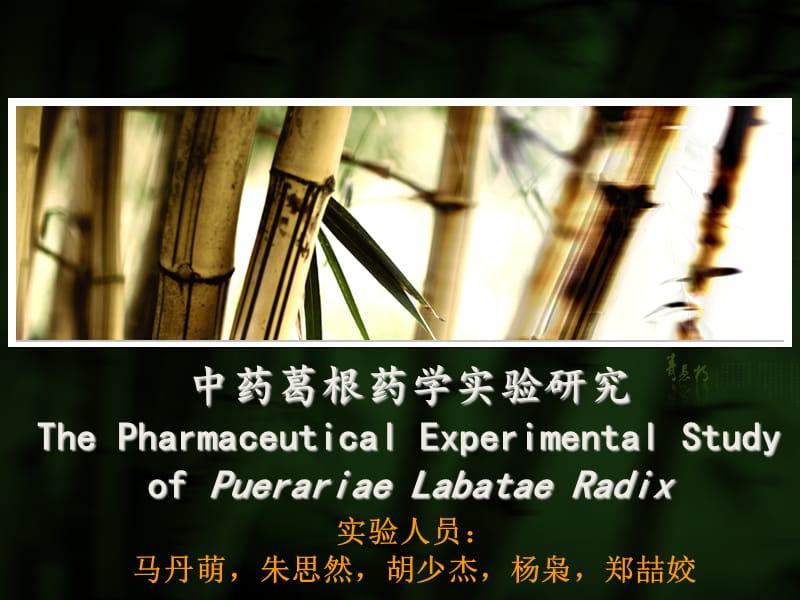 《葛根实验研究》PPT课件.ppt_第1页