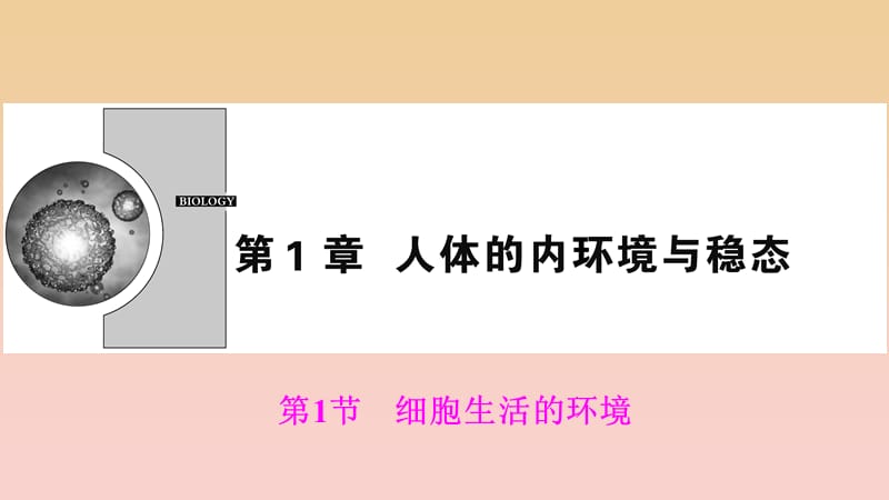 2017-2018學年高中生物 第一章 人體的內(nèi)環(huán)境與穩(wěn)態(tài) 第1節(jié) 細胞生活的環(huán)境課件 新人教版必修3.ppt_第1頁