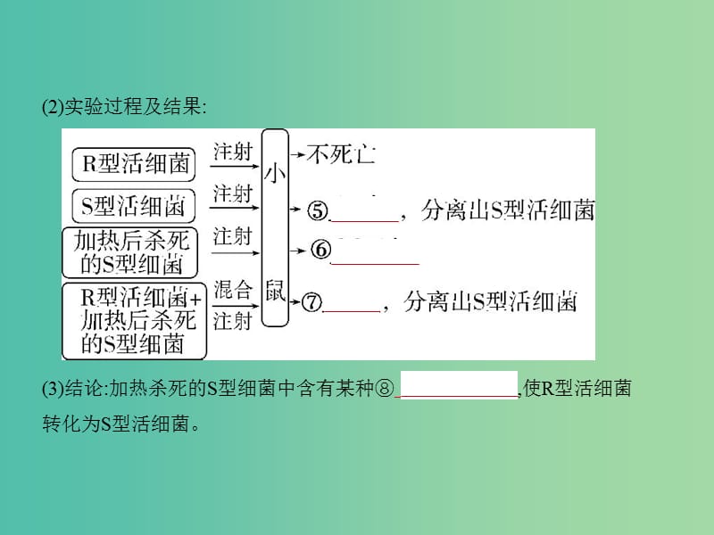 2019届高考生物二轮复习 专题10 遗传的分子基础课件.ppt_第2页