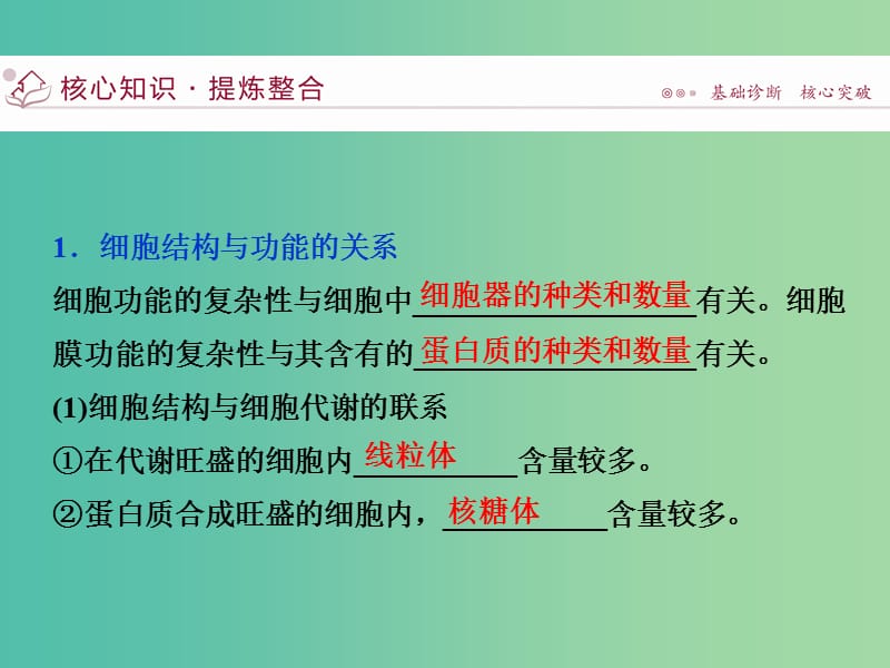 （浙江专用）高考生物二轮复习 专题一 细胞的分子组成和结构 第2讲 细胞的结构课件.ppt_第3页