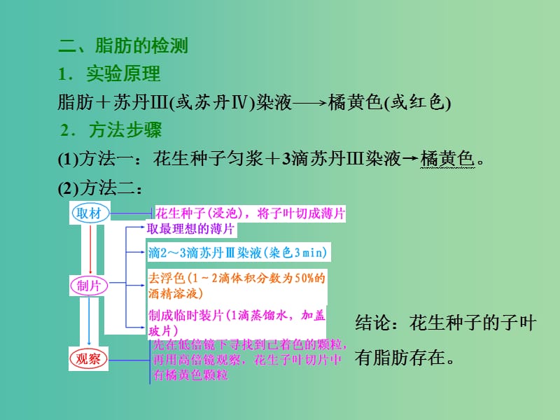 高考生物一轮复习 第一单元 第3讲 检测生物组织中的糖类、脂肪和蛋白质课件 新人教版必修1.ppt_第3页