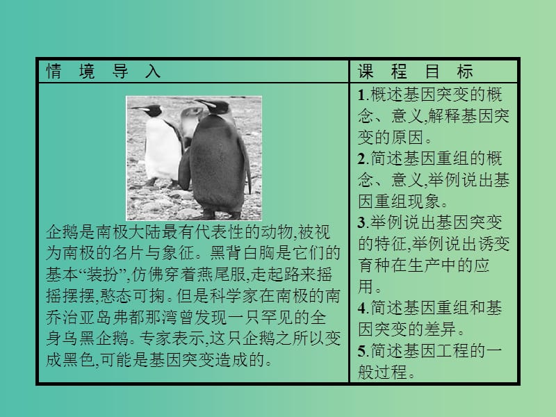 2019年高中生物第四章遗传的分子基础4.4基因突变和基因重组课件苏教版必修2 .ppt_第2页