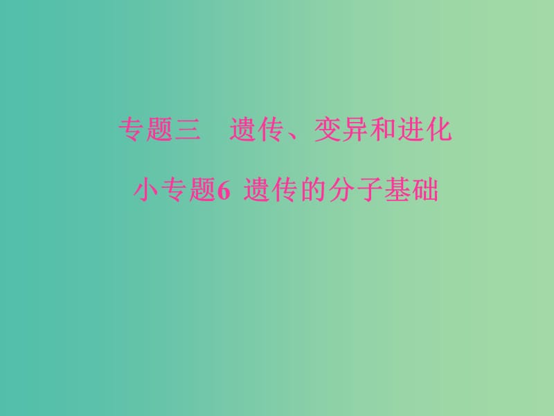 高考生物二轮专题复习专题三遗传变异和进化小专题6遗传的分子基次件.ppt_第1页