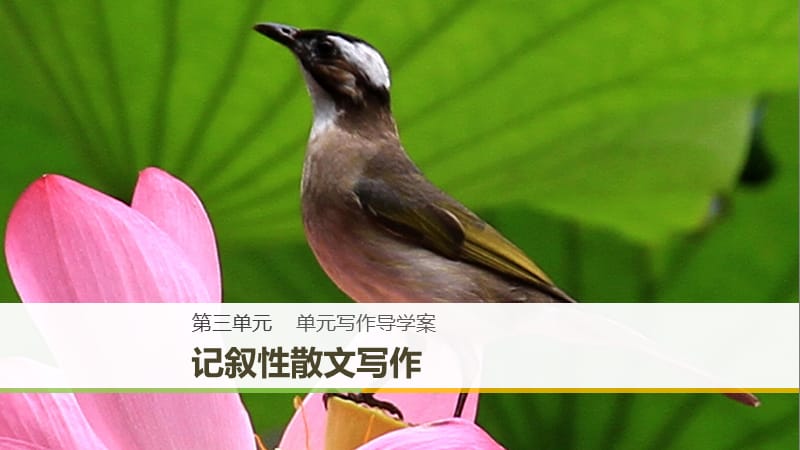 2018-2019版高中語(yǔ)文 第三單元 散文 單元寫(xiě)作導(dǎo)學(xué)案 記敘性散文寫(xiě)作課件 粵教版必修1.ppt_第1頁(yè)