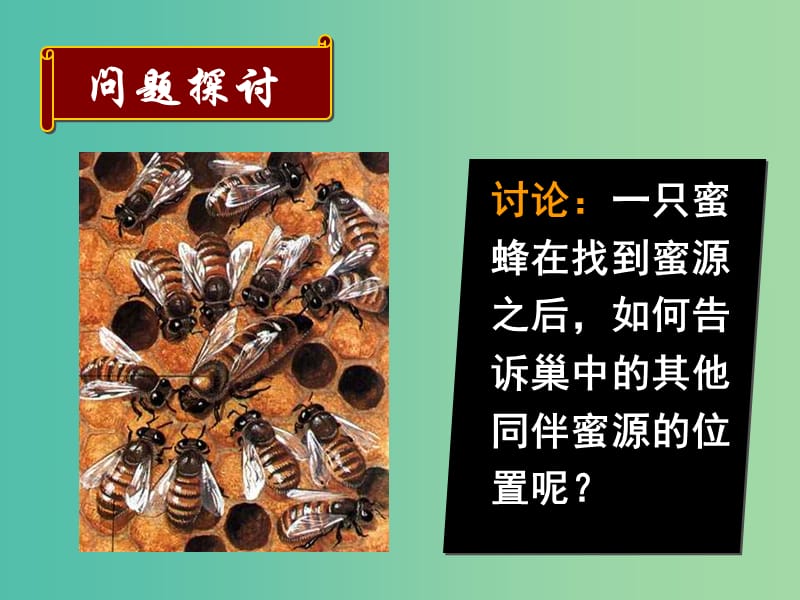 湖南省茶陵县高中生物 第五章 生态系统及其稳定性 5.4 生物信息传递课件 新人教版必修3.ppt_第1页