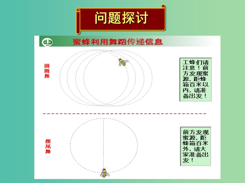 湖南省茶陵县高中生物 第五章 生态系统及其稳定性 5.4 生物信息传递课件 新人教版必修3.ppt_第2页