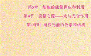 2018秋高中生物 第五章 細胞的能量供應和利用 第4節(jié) 第1課時 捕獲光能的色素和結(jié)構(gòu)課件 新人教版必修1.ppt