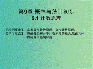 2019年高考數(shù)學(xué)總復(fù)習(xí)核心突破 第9章 概率與統(tǒng)計(jì)初步 9.1 計(jì)數(shù)原理課件.ppt