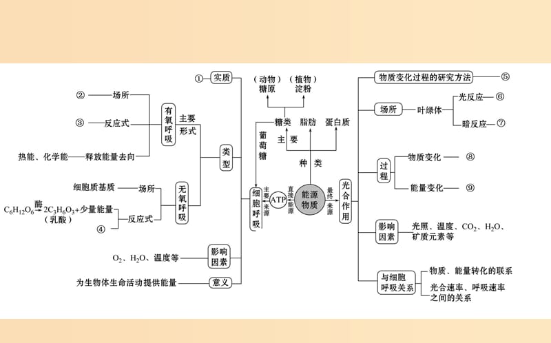 2019版高考生物二轮复习专题三细胞呼吸与光合作用课件.ppt_第2页