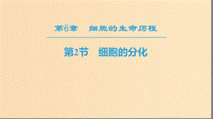 2018-2019學年高中生物 第六章 細胞的生命歷程 第2節(jié) 細胞的分化課件 新人教版必修1.ppt