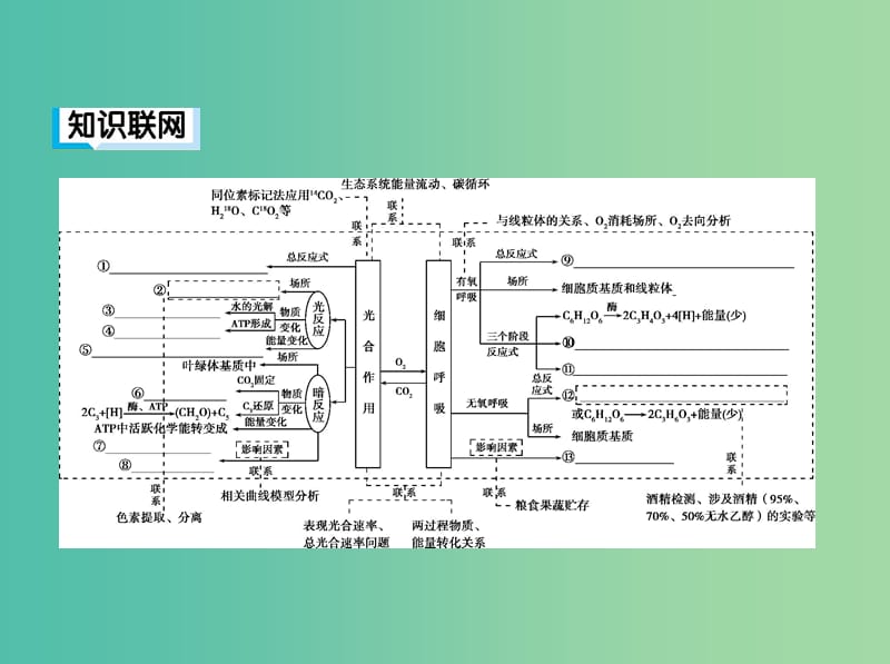 2019高考生物二轮复习 第4讲 细胞呼吸与光合作用课件.ppt_第3页