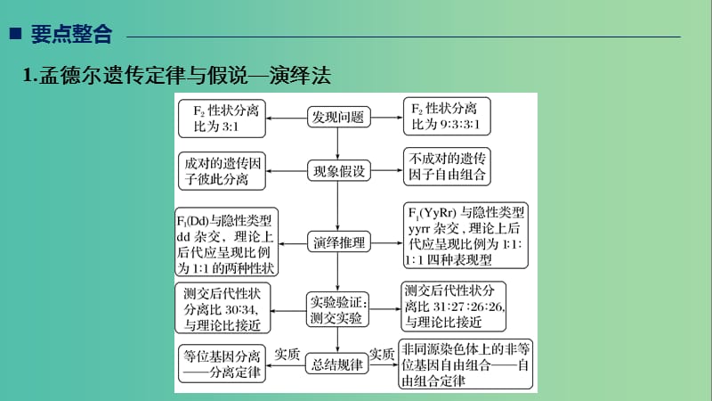 全国通用版2019高考生物二轮复习专题三基因的遗传规律考点1孟德尔遗传定律及其应用课件.ppt_第2页