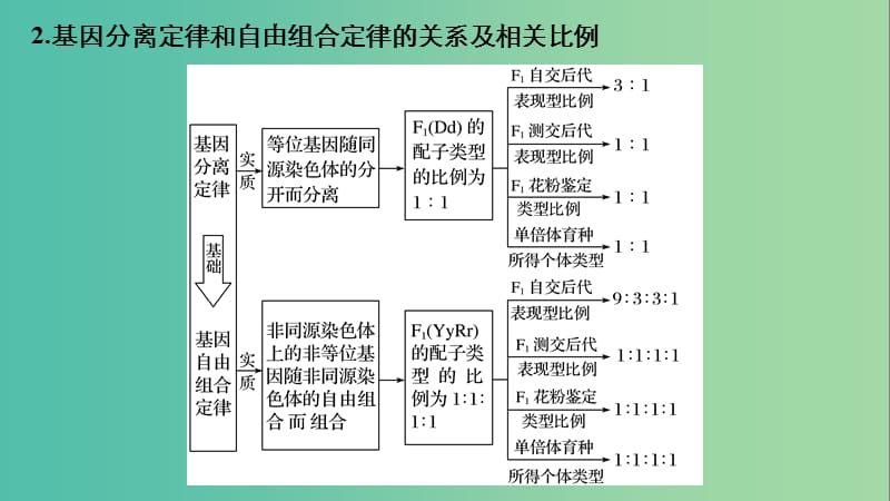 全国通用版2019高考生物二轮复习专题三基因的遗传规律考点1孟德尔遗传定律及其应用课件.ppt_第3页