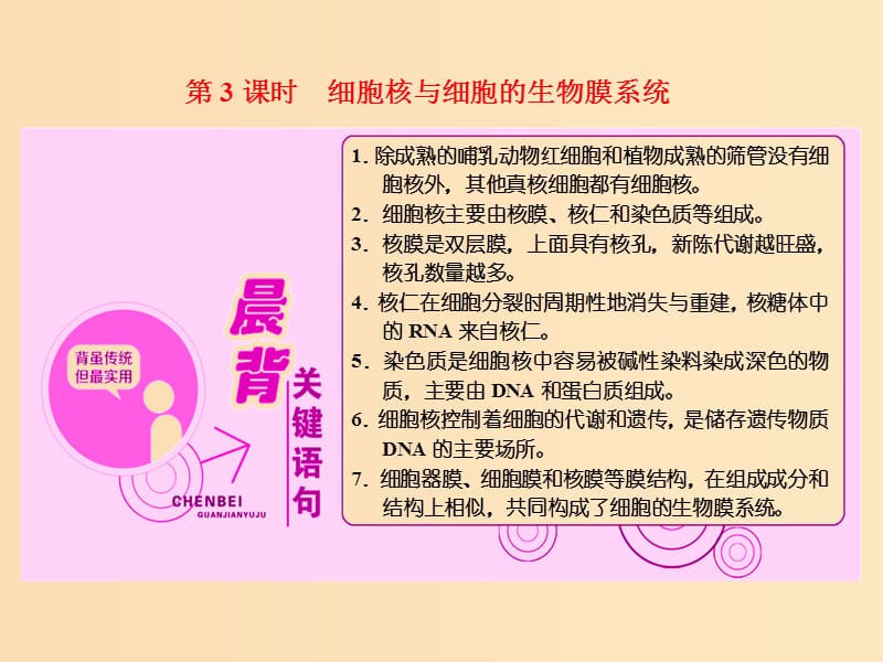 2018-2019學(xué)年高中生物 第三章 第二節(jié) 第3課時(shí) 細(xì)胞核與細(xì)胞的生物膜系統(tǒng)課件 蘇教版必修1.ppt_第1頁