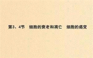 2018版高中生物 第6章 细胞的生命历程 第3、4节 细胞的衰老和凋亡 细胞的癌变课件 新人教版必修1.ppt