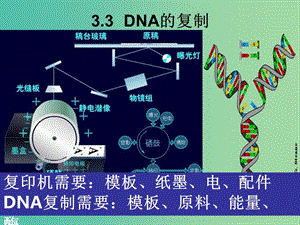 江西省南昌市高中生物 第三章 基因的本質(zhì) 3.3 DNA的復(fù)制課件 新人教版必修2.ppt