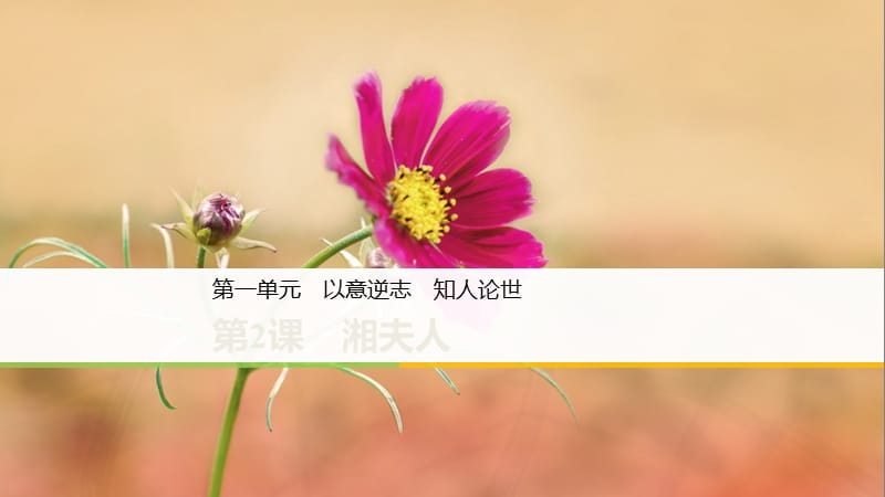 2018-2019学年高中语文 第一单元 第2课 湘夫人课件 新人教版选修《中国古代诗歌散文欣赏》.ppt_第1页