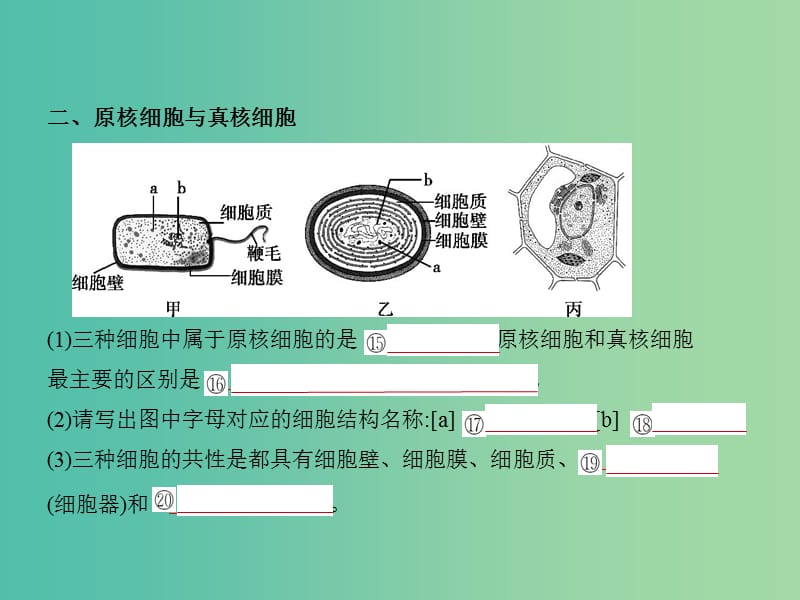 2019届高考生物二轮复习 专题2 细胞的结构与功能课件.ppt_第3页