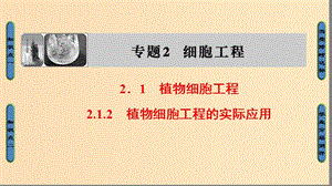 2018版高中生物 第2章 細胞工程 2.1 植物細胞工程 2.1.2 植物細胞工程的實際應(yīng)用課件 新人教版選修3.ppt