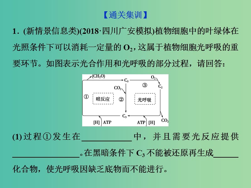 2019届高考生物一轮复习 第三单元 细胞的能量供应和利用 高考非选择题突破瓶颈冲刺集训系列1课件.ppt_第2页