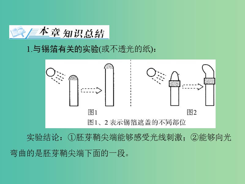 高考生物一轮总复习 第3章 章末知识提升课件（必修3）.ppt_第3页