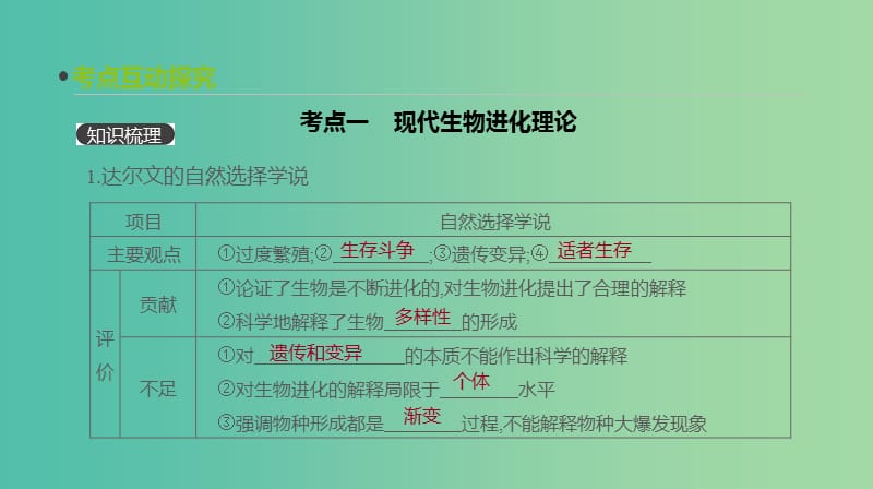 2019届高考生物一轮复习 第7单元 变异、育种与进化 第22讲 生物的进化课件.ppt_第3页