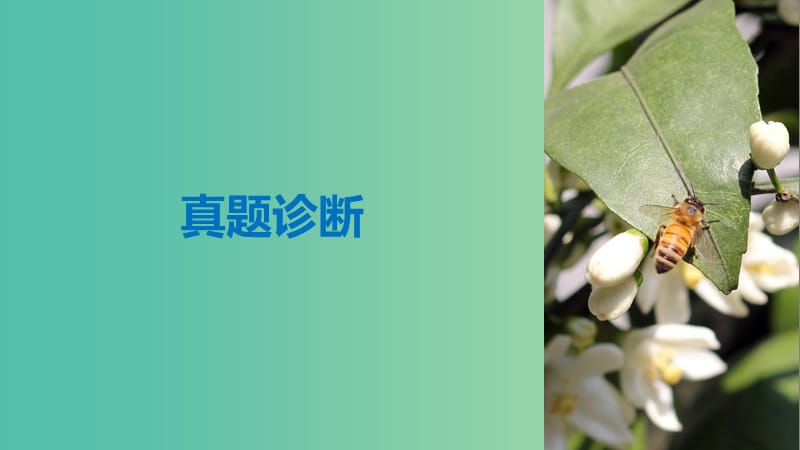 天津专用2019高考英语二轮增分策略专题一语法知识第6讲并列句与状语从句课件.ppt_第3页