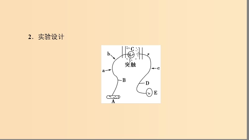 2018秋高中生物 第二章 动物和人体生命活动的调节 微专题突破（一）兴奋传导、传递特点的实验探究课件 新人教版必修3.ppt_第3页