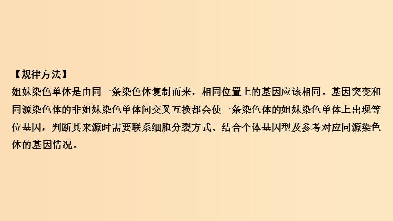 2019版高考生物总复习 第二部分 选择题必考五大专题 专题二 细胞的增殖与分化 重点题型1 姐妹染色单体上等位基因的来源课件.ppt_第2页