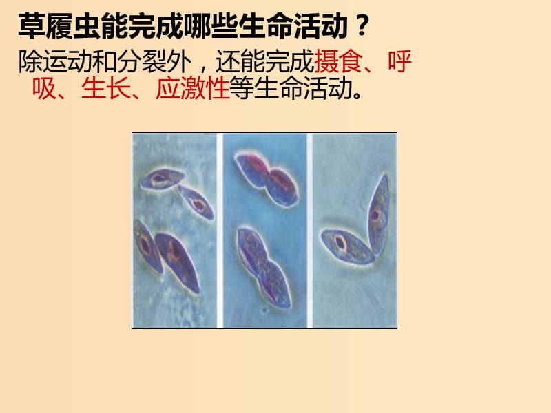 2018-2019高中生物 专题1.1 从生物圈到细胞课件 新人教版必修1.ppt_第3页