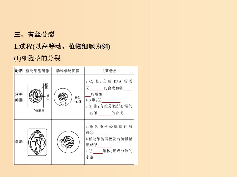 5年高考3年模拟A版浙江省2020年高考生物总复习专题7细胞的增殖课件.ppt_第3页