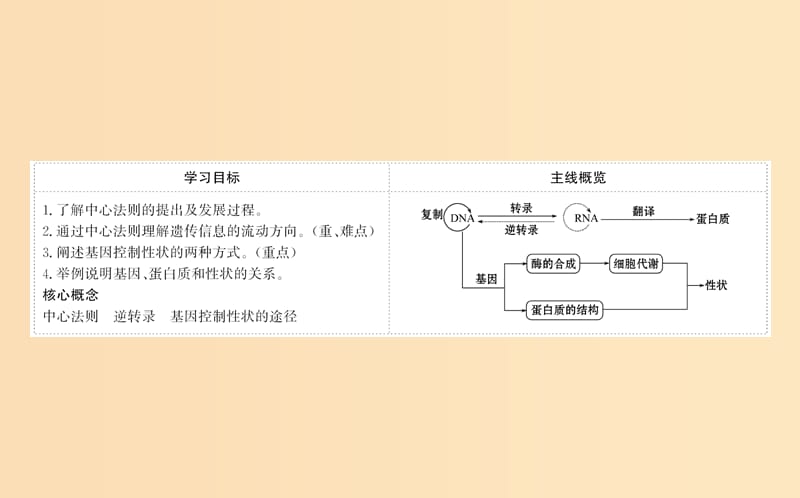 2018-2019学年高中生物4.2基因对性状的控制课件2新人教版必修2 .ppt_第2页